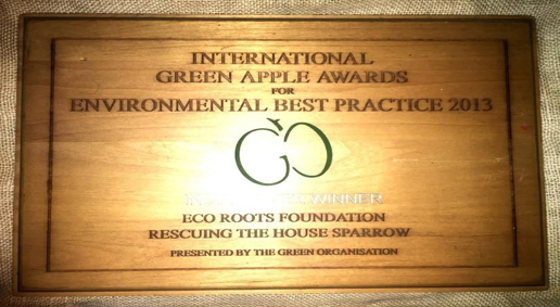International Green Apple Award